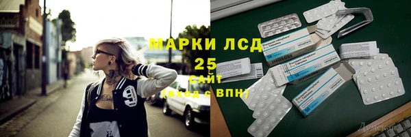 шишки Алексин