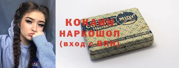 шишки Алексин