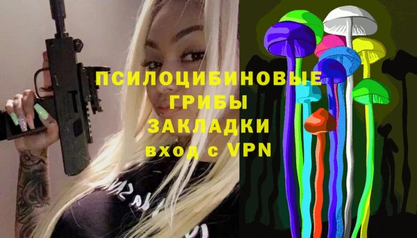прущая мука Алзамай